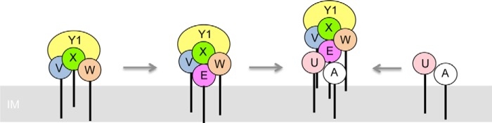 FIGURE 7.