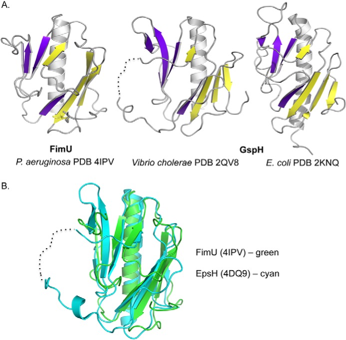 FIGURE 5.