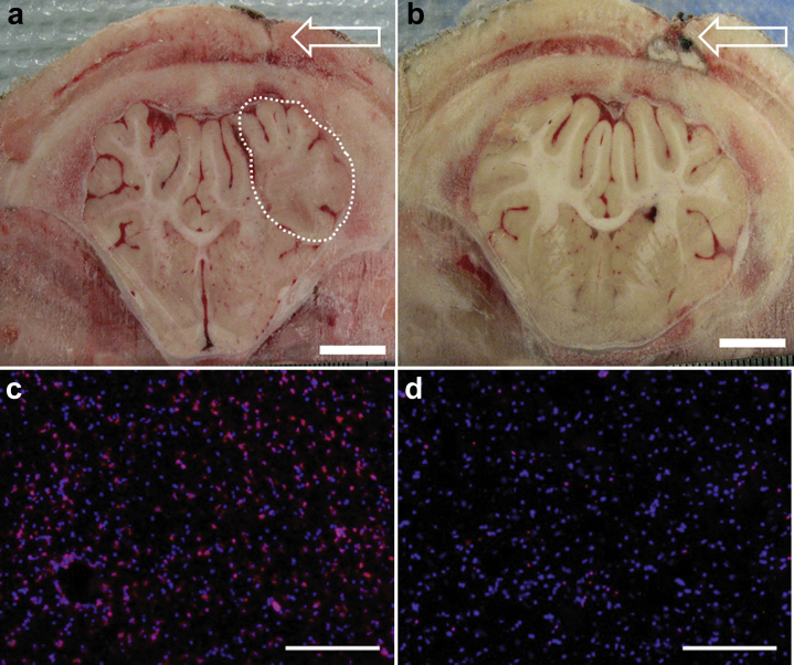 Figure 5