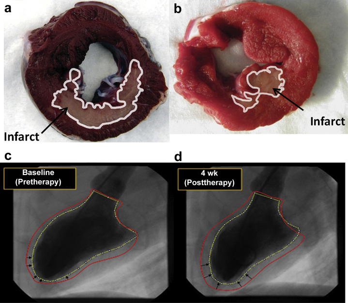 Figure 4