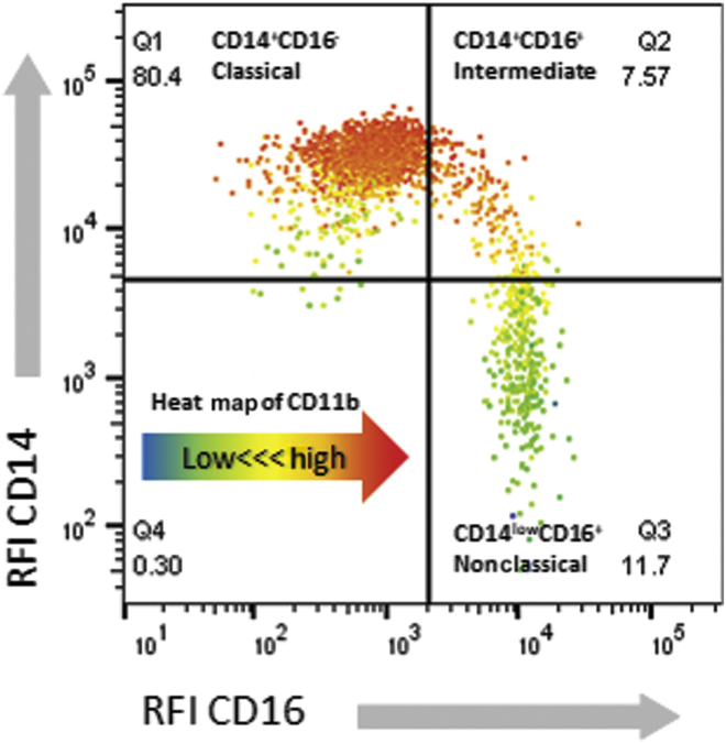 Figure 3