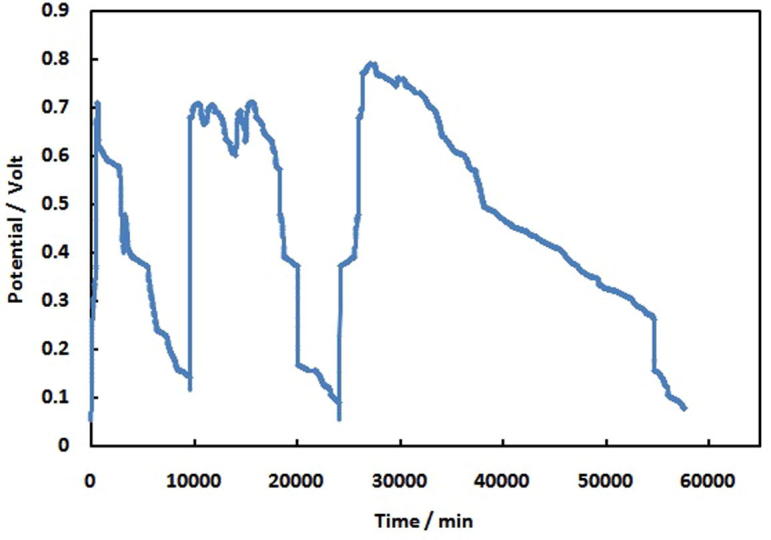 Fig. 1