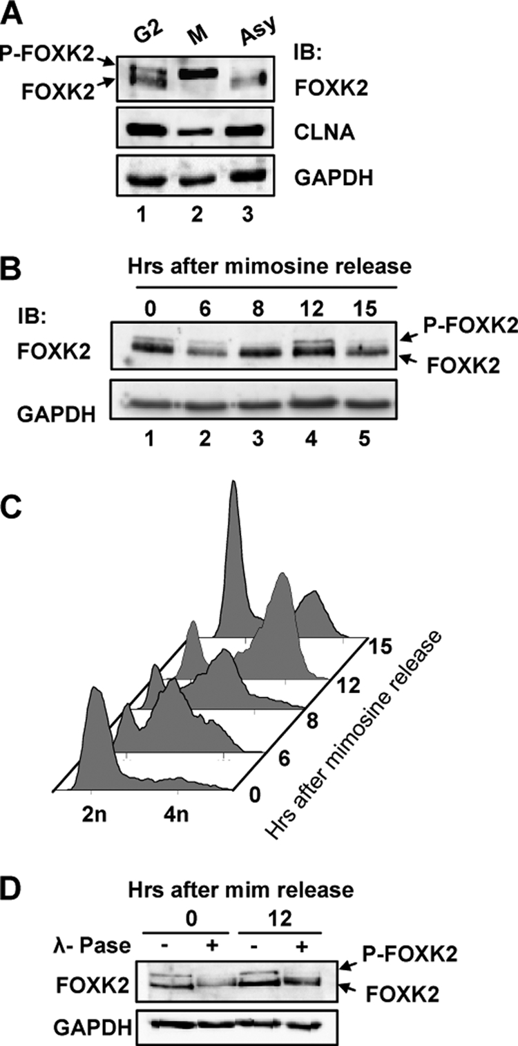 FIGURE 3.