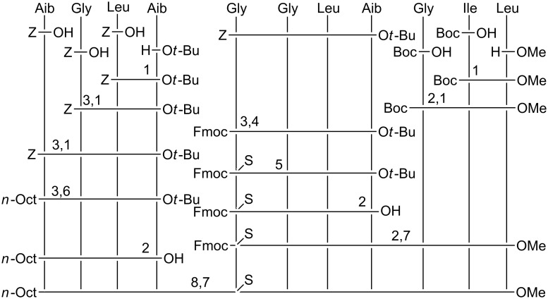 Scheme 2