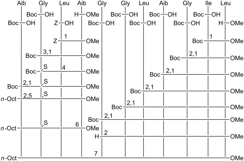 Scheme 1