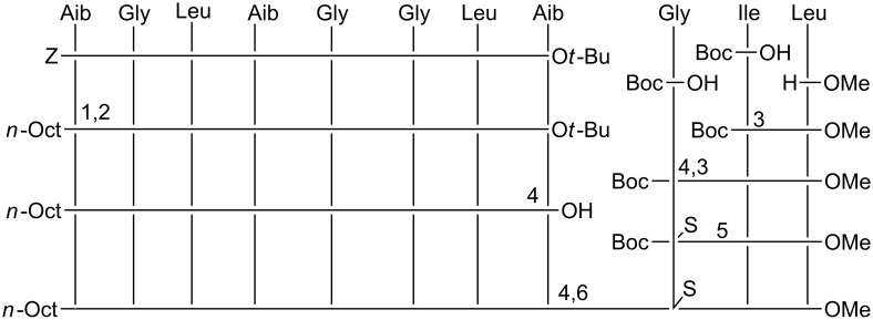 Scheme 3