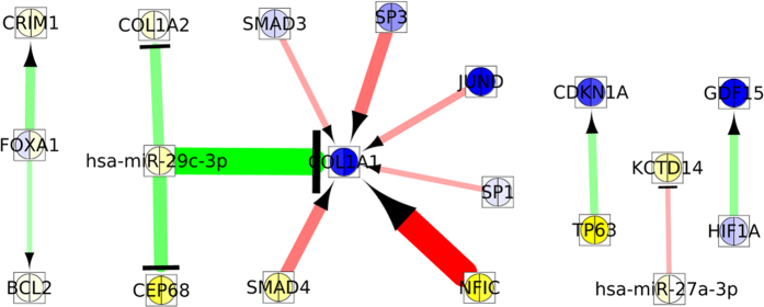 Figure 11