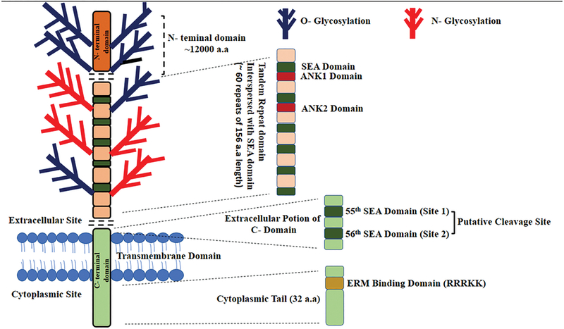 Figure 2: