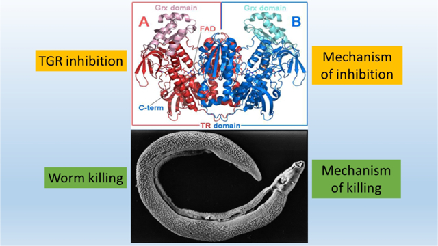 graphic file with name nihms-1068542-f0001.jpg