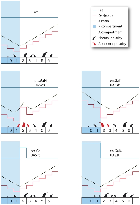 Fig. 3.