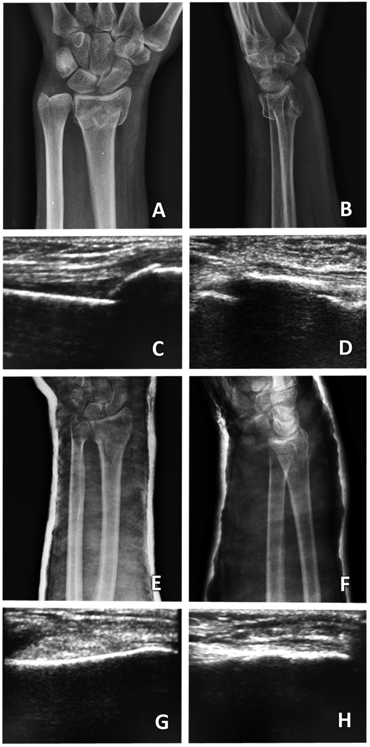 Fig. 3