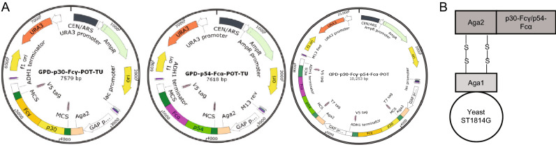 Fig. 1