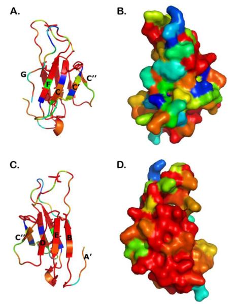 Fig. 4