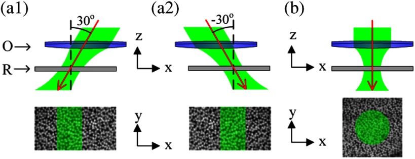 Fig. 1