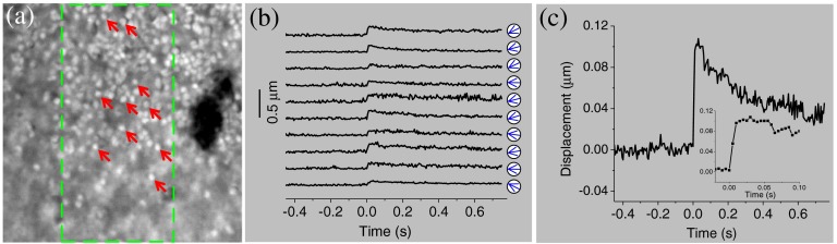 Fig. 4