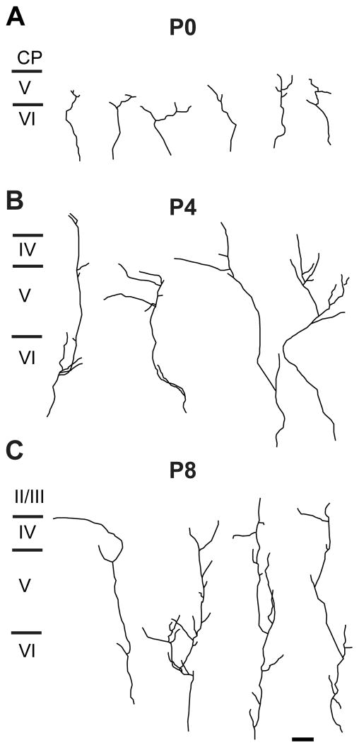 Fig. 9