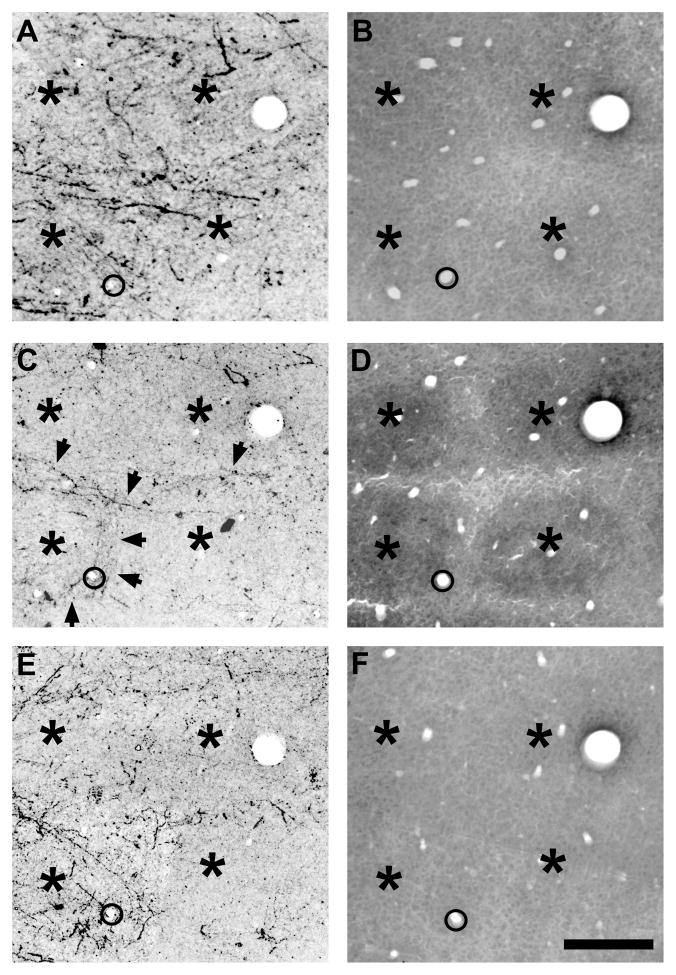 Fig. 12