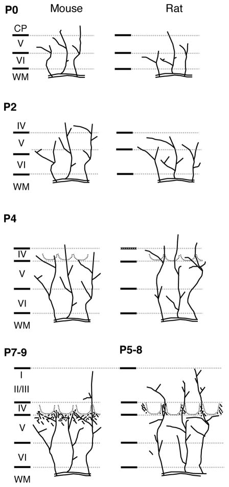 Fig. 13