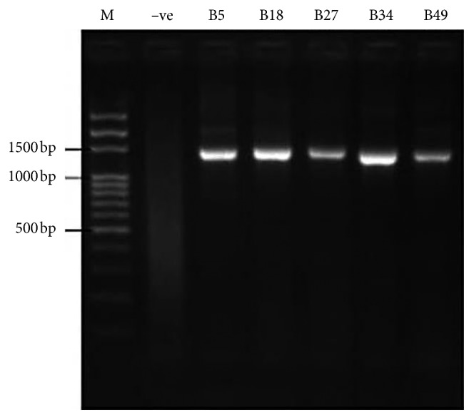 Figure 7