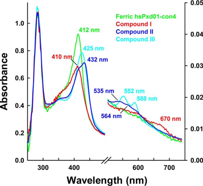 FIGURE 5.