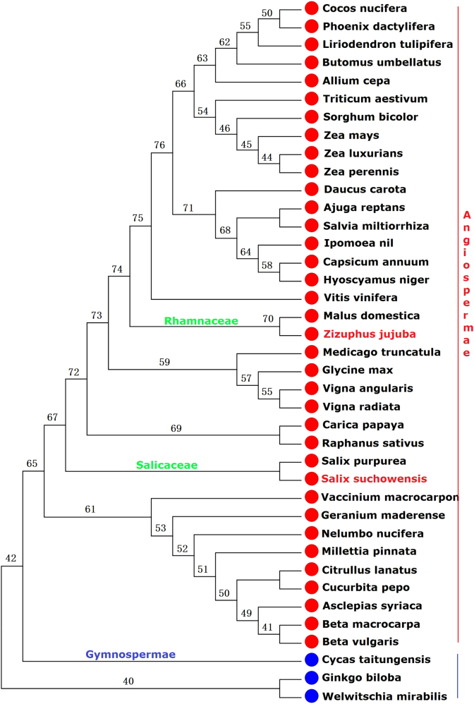 Fig. 7