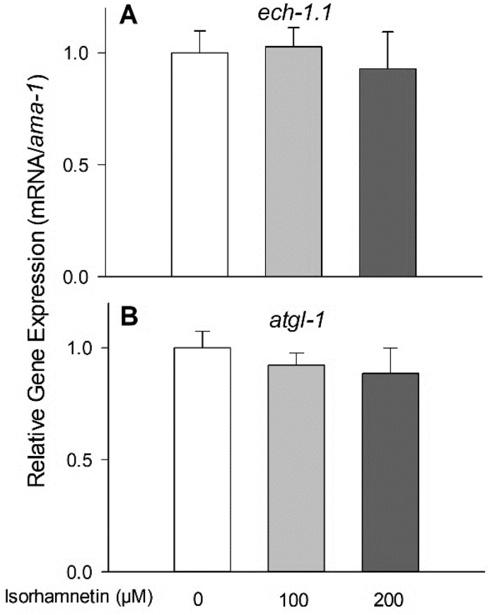 Fig. 5