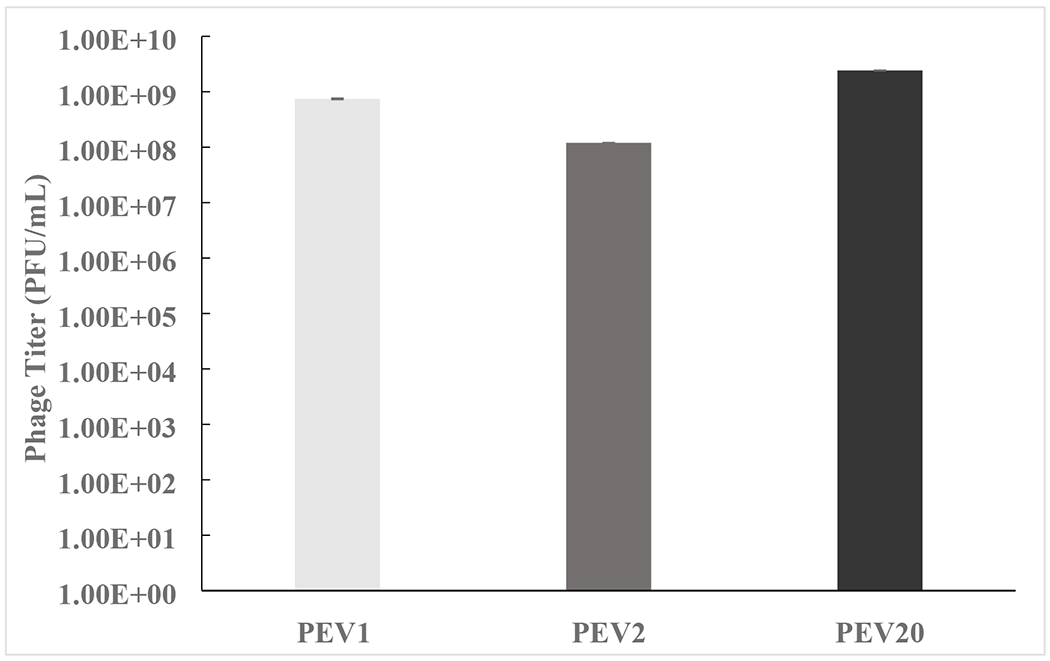 Figure 9.