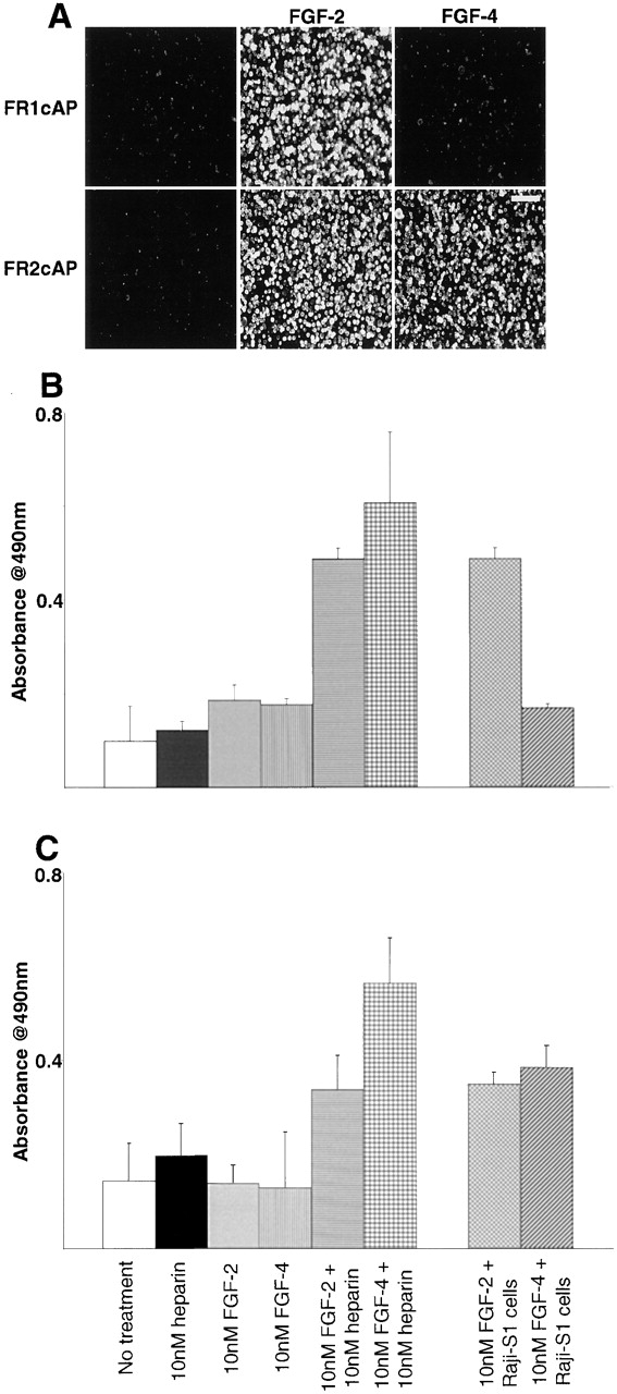 Figure 10.