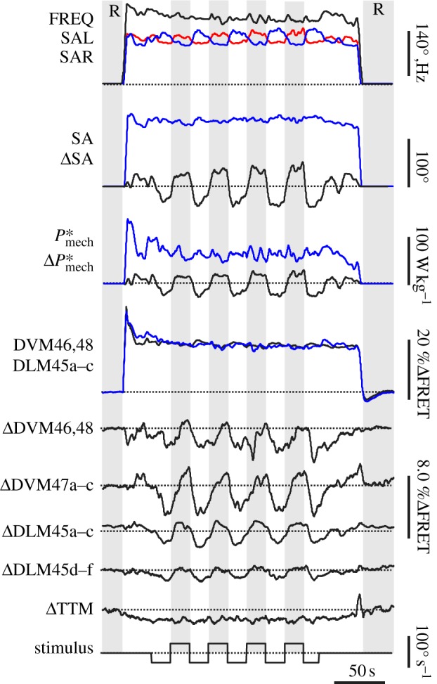 Figure 2.