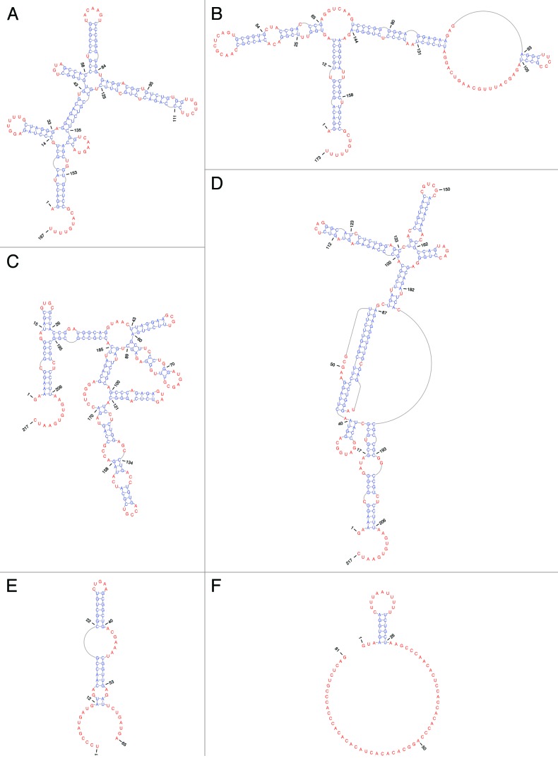 graphic file with name rna-11-10-g3.jpg