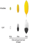 Figure 3—figure supplement 1.