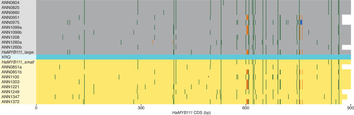 Figure 3—figure supplement 2.