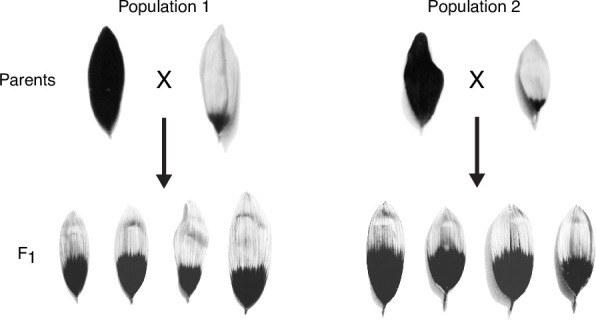 Figure 2—figure supplement 2.