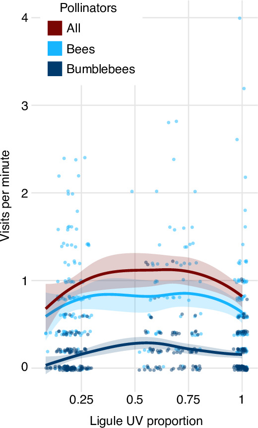 Figure 4—figure supplement 1.