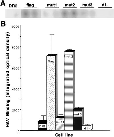 FIG. 9