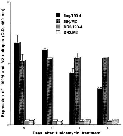 FIG. 6