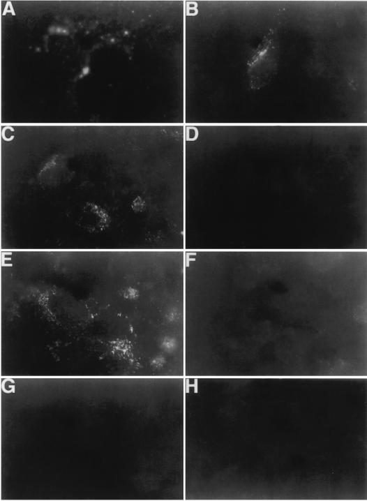 FIG. 10