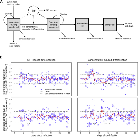 Figure 4