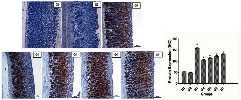 Fig 10