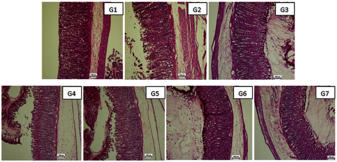 Fig 9