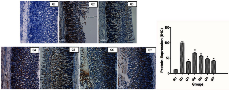 Fig 11