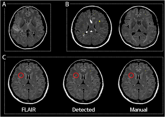 Fig. 6