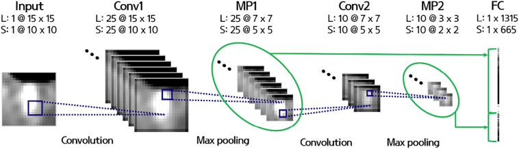 Fig. 2