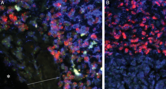 Fig. 4.