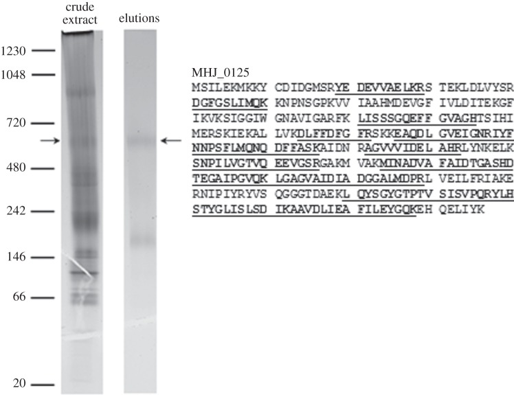 Figure 5.