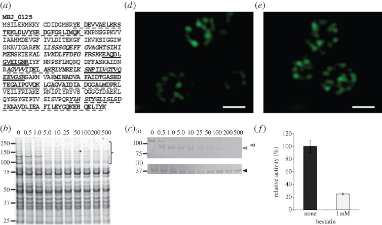 Figure 1.