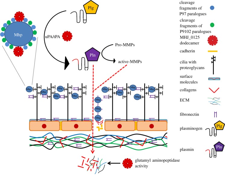 Figure 12.