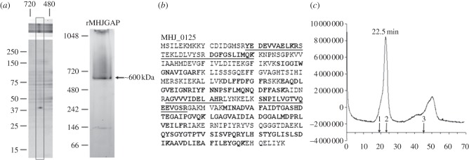 Figure 2.