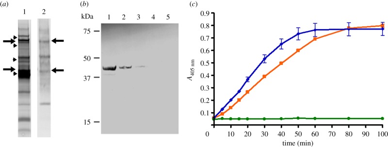 Figure 4.