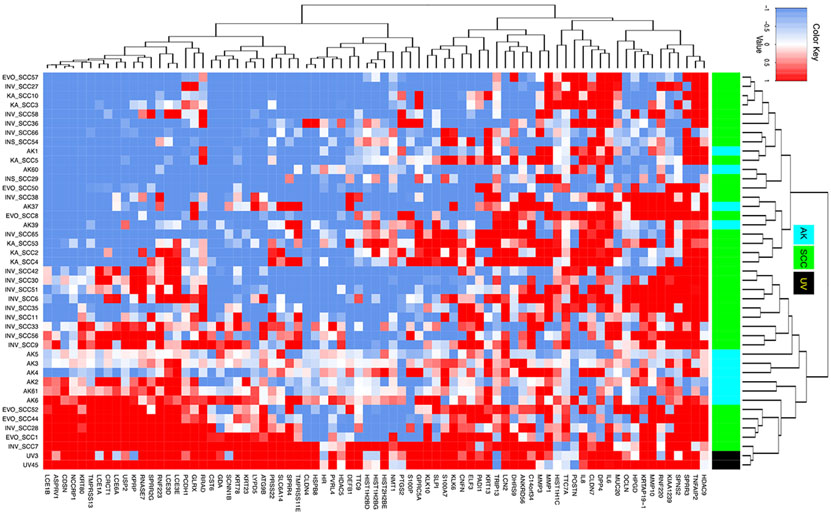 Figure 2.